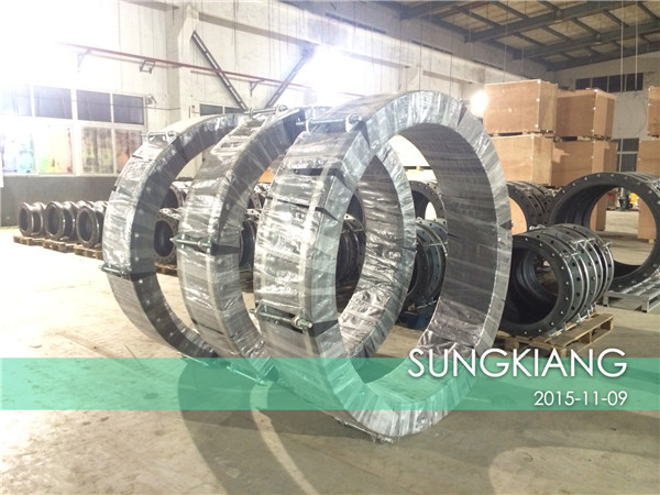 【印尼金光紙業OKI項目】采用上海樱桃视频污在线看金屬軟管